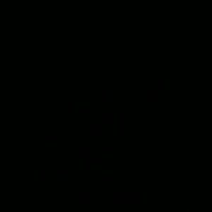 Meet your Posher, Rasharie